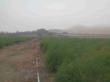 terreno agrícola área 100 HA $7/m2