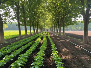 terreno agrícola área 100 HA $7/m2