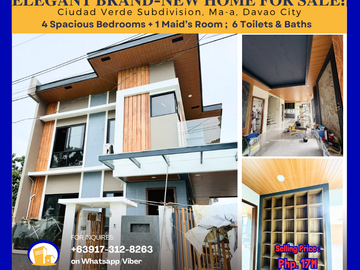 Elegant Brand-New Home for Sale in Ciudad Verde Subdivision, Ma-a, Davao City