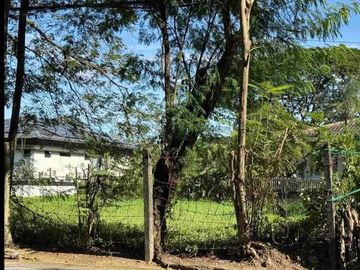 Two adjoining lots in Katipunan Avenue Ext, Loyola Grand Villas