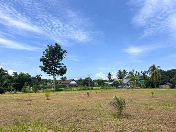 Land for sale, over 2 rai of land, near Pilai Beach in Khok Kloi, Phang Nga