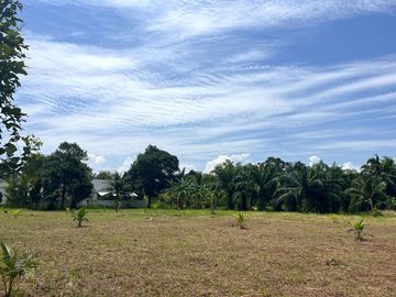 Land for sale, over 2 rai of land, near Pilai Beach in Khok Kloi, Phang Nga