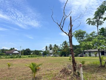 Land for sale, over 2 rai of land, near Pilai Beach in Khok Kloi, Phang Nga