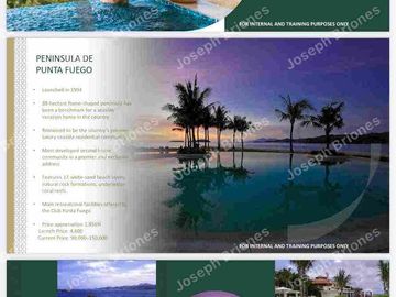 The Residences- Terrazas de Punta Fuego
