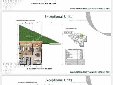The Residences- Terrazas de Punta Fuego
