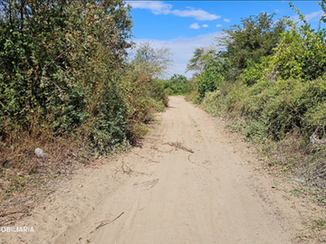 GRAN VENTA DE TERRENO DE 7 HECTAREAS EN CURUMUY - LOS EJIDOS, PIURA