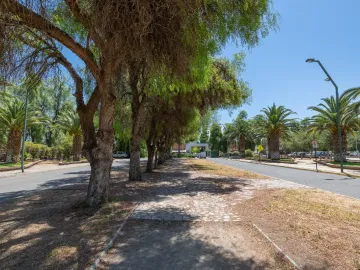 Condominio El Algarrobal