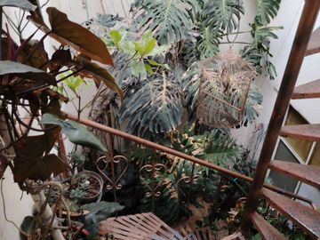 VENTA DE CASA AV. TEPOZANES