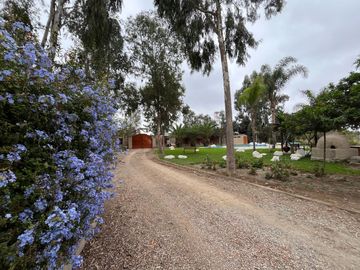 Gran Venta: Casa De Campo Con Piscina En 1,000 M²