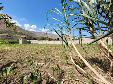 Vendo Terreno en Huánuco – Andabamba – Pilcomarca - Excelente ubicación –
