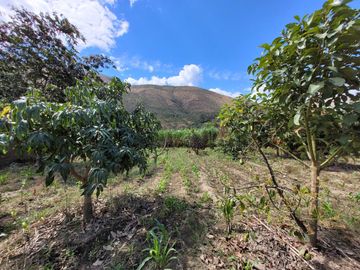 Vendo Terreno en Huánuco – Andabamba – Pilcomarca - Excelente ubicación –