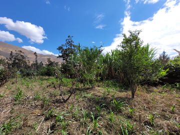 Vendo Terreno en Huánuco – Andabamba – Pilcomarca - Excelente ubicación –