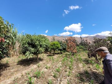 Vendo Terreno en Huánuco – Andabamba – Pilcomarca - Excelente ubicación –