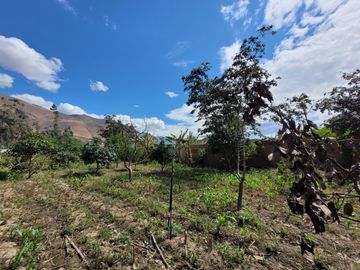 Vendo Terreno en Huánuco – Andabamba – Pilcomarca - Excelente ubicación –
