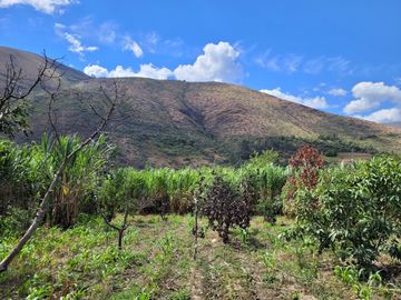 Vendo Terreno en Huánuco – Andabamba – Pilcomarca - Excelente ubicación –