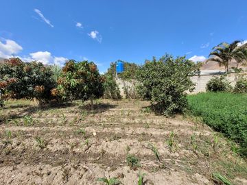 Vendo Terreno en Huánuco – Andabamba – Pilcomarca - Excelente ubicación –