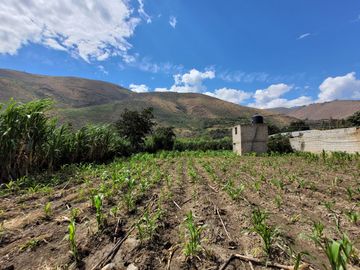 Vendo Terreno en Huánuco – Andabamba – Pilcomarca - Excelente ubicación –