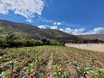 Vendo Terreno en Huánuco – Andabamba – Pilcomarca - Excelente ubicación –