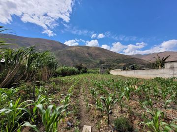 Vendo Terreno en Huánuco – Andabamba – Pilcomarca - Excelente ubicación –
