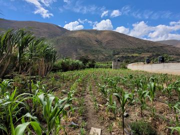 Vendo Terreno en Huánuco – Andabamba – Pilcomarca - Excelente ubicación –
