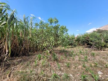 Vendo Terreno en Huánuco – Andabamba – Pilcomarca - Excelente ubicación –