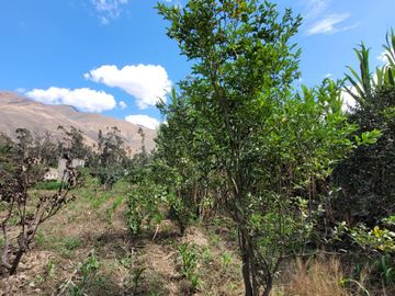 Vendo Terreno en Huánuco – Andabamba – Pilcomarca - Excelente ubicación –