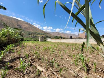 Vendo Terreno en Huánuco – Andabamba – Pilcomarca - Excelente ubicación –