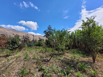 Vendo Terreno en Huánuco – Andabamba – Pilcomarca - Excelente ubicación –