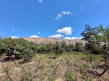 Vendo Terreno en Huánuco – Andabamba – Pilcomarca - Excelente ubicación –