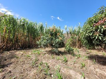 Vendo Terreno en Huánuco – Andabamba – Pilcomarca - Excelente ubicación –