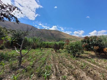 Vendo Terreno en Huánuco – Andabamba – Pilcomarca - Excelente ubicación –