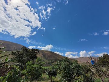 Vendo Terreno en Huánuco – Andabamba – Pilcomarca - Excelente ubicación –