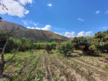 Vendo Terreno en Huánuco – Andabamba – Pilcomarca - Excelente ubicación –