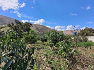 Vendo Terreno en Huánuco – Andabamba – Pilcomarca - Excelente ubicación –
