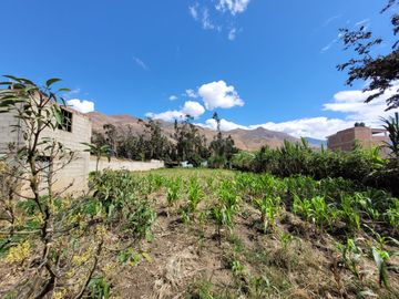 Vendo Terreno en Huánuco – Andabamba – Pilcomarca - Excelente ubicación –