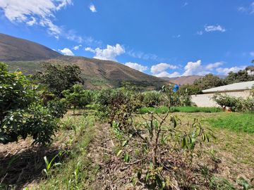 Vendo Terreno en Huánuco – Andabamba – Pilcomarca - Excelente ubicación –