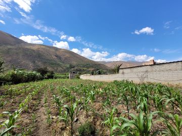 Vendo Terreno en Huánuco – Andabamba – Pilcomarca - Excelente ubicación –