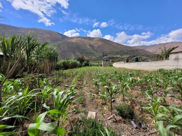 Vendo Terreno en Huánuco – Andabamba – Pilcomarca - Excelente ubicación –