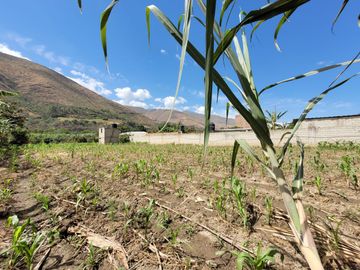 Vendo Terreno en Huánuco – Andabamba – Pilcomarca - Excelente ubicación –