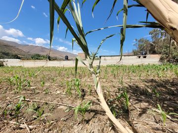 Vendo Terreno en Huánuco – Andabamba – Pilcomarca - Excelente ubicación –