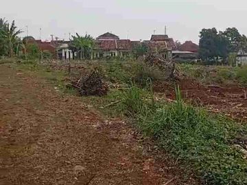Tanah ploting kuning di batang cocok buat perumahan