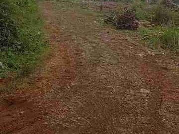 Tanah ploting kuning di batang cocok buat perumahan