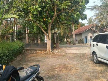 jual tanah di gunung Sindur.