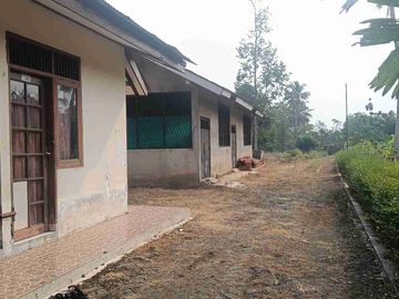 jual tanah di gunung Sindur.