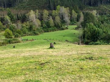 Terreno Excepcional  Panguipulli