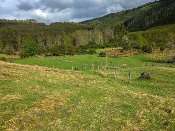 Terreno Excepcional  Panguipulli