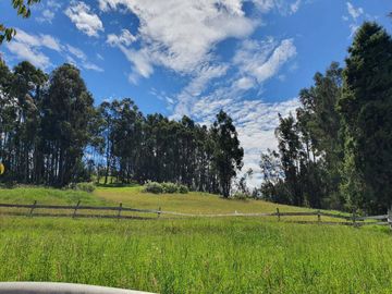 Hacienda Ee Venta en San Andres sector Ochoa León en Cuenca