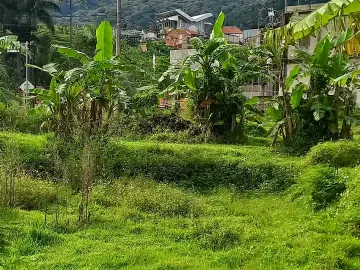 DI JUAL TANAH VILLA PEMANDIAN AIR PANAS  PACET ZONA PERUMAHAN/KUNING