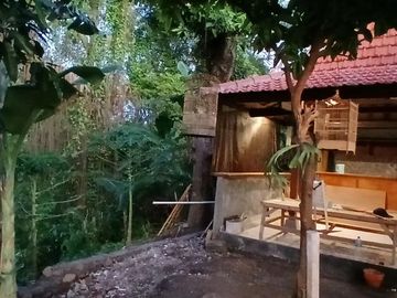 BRAND NEW HOUSE 2 BEDROOMS WITH RIVER VIEW IN KESIMAN - EAST DENPASAR