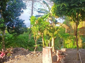 BRAND NEW HOUSE 2 BEDROOMS WITH RIVER VIEW IN KESIMAN - EAST DENPASAR
